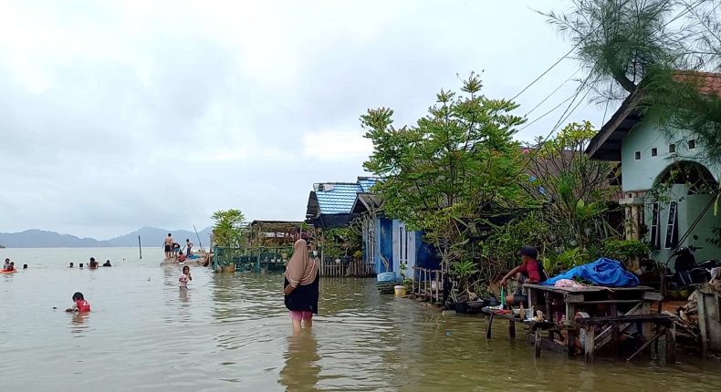 foto slider headline