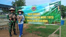 Danlanal Karimun Letkol Laut (P) Joko Santosa bersama Ketua Jalasenastri Cabang 6 Korcab IV DJA I Ny. Wulandari Joko Santosa memanen perdana tanaman Sorgum hasil cocok tanam prajurit Lanal TBK. (Foto : Pen Lanal TBK/KepriHeadline.id)