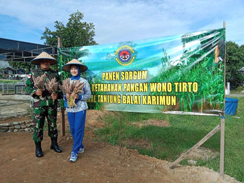 Danlanal Karimun Letkol Laut (P) Joko Santosa bersama Ketua Jalasenastri Cabang 6 Korcab IV DJA I Ny. Wulandari Joko Santosa memanen perdana tanaman Sorgum hasil cocok tanam prajurit Lanal TBK. (Foto : Pen Lanal TBK/KepriHeadline.id)