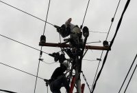 Petugas PLN melakukan perbaikan kerusakan di salah satu jaringan di wilayah Karimun. (Foto: dokumen kepriheadline.id)