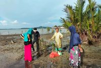 PT Timah Tbk bersama masyarakat Desa Gemuruh saat melakukan Penanaman mangrove di Teluk Salak. (Foto: dokumen PT Timah)