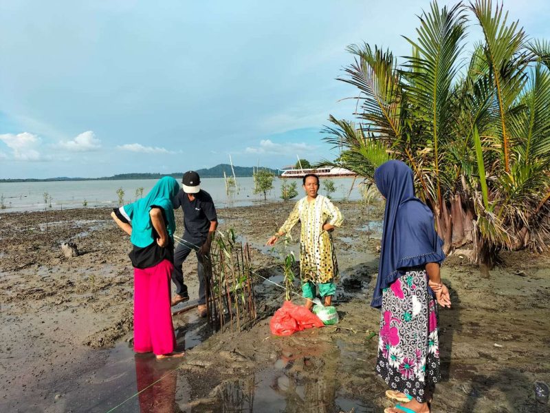 PT Timah Tbk bersama masyarakat Desa Gemuruh saat melakukan Penanaman mangrove di Teluk Salak. (Foto: dokumen PT Timah)