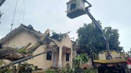 Warga dibantu petugas melakukan evakuasi terhadap reruntuhan pohon. (Foto: kepriheadline.id)