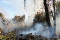 Sisa-sisa lahan seluas dua hektar yang terbakar di Parit Gantung Desa Sei Besi. (Foto: istimewa/kepriheadline.id)
