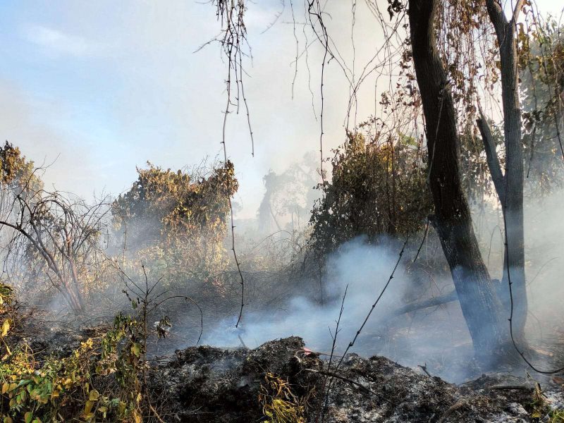 Sisa-sisa lahan seluas dua hektar yang terbakar di Parit Gantung Desa Sei Besi. (Foto: istimewa/kepriheadline.id)