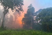 Api membakar kawasan hutan di Parit Gantung, Desa Sei Besi, Tanjungbatu Kundur. (Foto; Istimewa/Kepriheadline.id)
