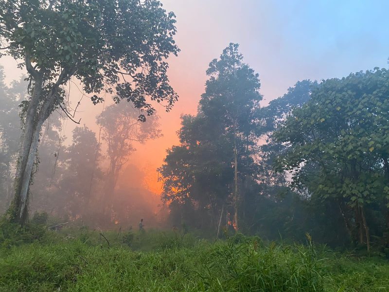 Api membakar kawasan hutan di Parit Gantung, Desa Sei Besi, Tanjungbatu Kundur. (Foto; Istimewa/Kepriheadline.id)