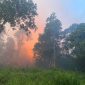 Api membakar kawasan hutan di Parit Gantung, Desa Sei Besi, Tanjungbatu Kundur. (Foto; Istimewa/Kepriheadline.id)