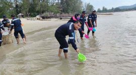 Rita Permata Sari dari BPSPL bersama karyawan PT Timah saat melepaskan bibit kepiting. (Foto: Istinewa)