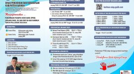 Pamflet PPDB Karimun. (Istimewa)