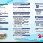 Pamflet PPDB Karimun. (Istimewa)