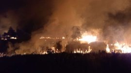 Kebakaran lahan di kawasan Kampung Harapan Kelurahan Harjosari. Foto Rr