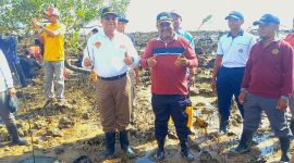 Bupati Karimun Aunur Rafiq dan Wakil Bupati Karimun Anwar Hasyim pimpin penanaman bibit mangrove di Pesisir Pantai kawasan Jembatan Sanur, Kelurahan Teluk Uma. Foto: Rr/Kepriheadline.id