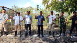 Kegiatan penanaman bibit mangrove bersama masyarakat dan nelayan Sawang Laut. Foto: Istimewa