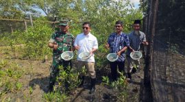 Panen siput isap hasil budidaya Pokdakan Maju Bersama Desa Sawang dan PT Timah. Foto: istimewa