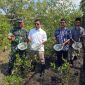 Panen siput isap hasil budidaya Pokdakan Maju Bersama Desa Sawang dan PT Timah. Foto: istimewa