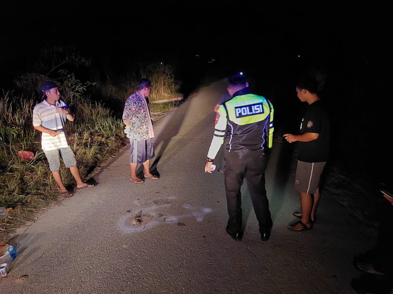 Polisi melakukan olah TKP terhadap kecelakaan lalu lintas di kawasan Guntung Punak. Foto: dokumen polisi