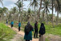 Kondisi kebun kelapa milik warga Ungar yang terkena serangan hama. Foto: istimewa