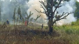 Petugas Pemadam Kebakaran Kabupaten Karimun berjibaku memadamkan api di lahan kosong di Kelurahan Harjosari. Foto: kepriheadline.id