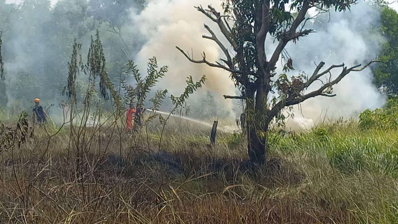 Petugas Pemadam Kebakaran Kabupaten Karimun berjibaku memadamkan api di lahan kosong di Kelurahan Harjosari. Foto: kepriheadline.id