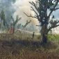 Petugas Pemadam Kebakaran Kabupaten Karimun berjibaku memadamkan api di lahan kosong di Kelurahan Harjosari. Foto: kepriheadline.id