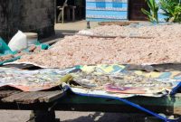 Proses penjemuran produk Terasi milik Hamid yang semakin di kenal daerah-daerah lain. Foto: Istimewa
