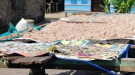 Proses penjemuran produk Terasi milik Hamid yang semakin di kenal daerah-daerah lain. Foto: Istimewa