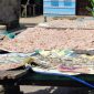 Proses penjemuran produk Terasi milik Hamid yang semakin di kenal daerah-daerah lain. Foto: Istimewa