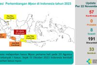 Sebaran Kasus Mpox di Indonesia. Foto: Istimewa