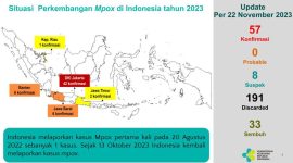 Sebaran Kasus Mpox di Indonesia. Foto: Istimewa
