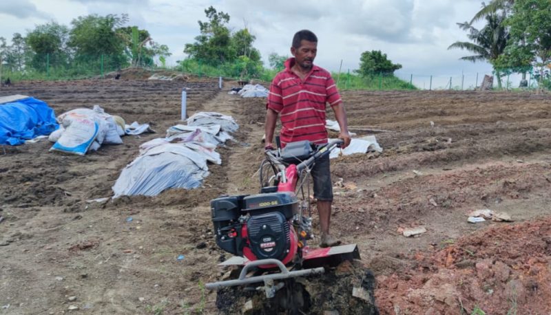 Berkat Bantuan Hand Traktor dari PT Timah Tbk, Hasil Kelompok Tani Bukit Naga Semakin Meningkat. Foto: Humas PT Timah.