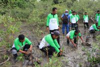 Bersama kelompok nelayan kecamatan Kundur Barat, PT Timah melakukan penanaman mangrove di Pantai Batu Tuan. Foto: Humas PT Timah