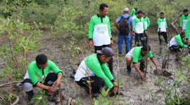 Bersama kelompok nelayan kecamatan Kundur Barat, PT Timah melakukan penanaman mangrove di Pantai Batu Tuan. Foto: Humas PT Timah