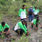 Bersama kelompok nelayan kecamatan Kundur Barat, PT Timah melakukan penanaman mangrove di Pantai Batu Tuan. Foto: Humas PT Timah