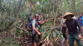 Proses evakuasi kerangka manusia yang ditemukan di Hutan Panjang Desa Sebele. Foto: KepriHeadline.id 