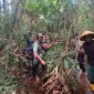 Proses evakuasi kerangka manusia yang ditemukan di Hutan Panjang Desa Sebele. Foto: KepriHeadline.id 