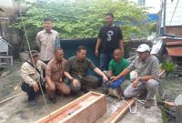 Komunitas Korek serahkan dua ekor buaya ke BKSDA Riau. Foto: KepriHeadline.id 
