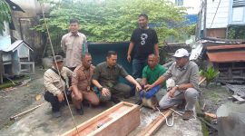 Komunitas Korek serahkan dua ekor buaya ke BKSDA Riau. Foto: KepriHeadline.id 