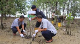 Penanaman Manggrove oleh PT Timah Tbk bersama Koramil 03 Kundur. Foto: Humas PT Timah