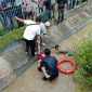 Proses evakuasi seorang wanita yang terjatuh di Pelabuhan Bongkar Muat Tanjungbatu. Foto: Istimewa/Polsek Kundur
