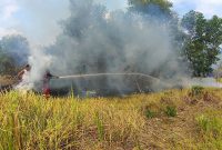 Petugas pemadam kebakaram BPBD dan Damkar Karimun lakukan pemadaman lahan. Foto: rc/kepriheadline.id