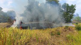 Petugas pemadam kebakaram BPBD dan Damkar Karimun lakukan pemadaman lahan. Foto: rc/kepriheadline.id