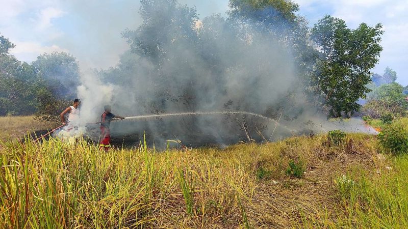 Petugas pemadam kebakaram BPBD dan Damkar Karimun lakukan pemadaman lahan. Foto: rc/kepriheadline.id