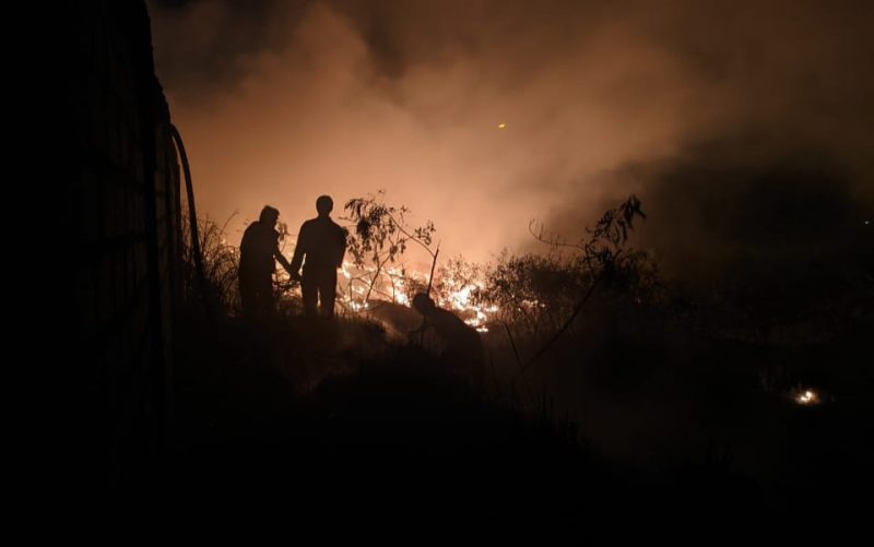 Petugas melakukan upaya pemadaman di salah satu lahan yang terbakar Minggu, 25 Februari 2024 malam. Foto: Dokumen Damkar untuk KepriHeadline.id 