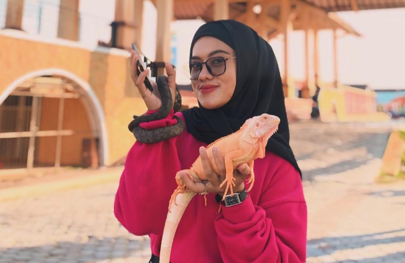 Salah satu pengunjung berfoto bersama hewan reptil yang dipamerkan Komunitas Reptil Karimun. (FOTO: Vk/KepriHeadline.id).