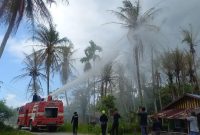 Petugas Damkar Karimun menyemprotkan cairan Insektisida untuk membasmi hama ulat api di Pelambung, Desa Pongkar. (Foto: ricky/kepriheadline.id)