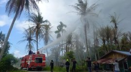 Petugas Damkar Karimun menyemprotkan cairan Insektisida untuk membasmi hama ulat api di Pelambung, Desa Pongkar. (Foto: ricky/kepriheadline.id)