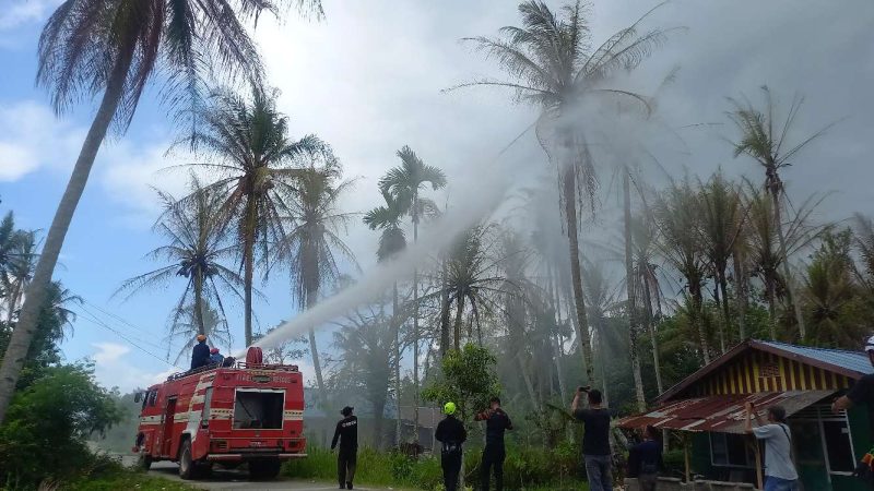 Petugas Damkar Karimun menyemprotkan cairan Insektisida untuk membasmi hama ulat api di Pelambung, Desa Pongkar. (Foto: ricky/kepriheadline.id)
