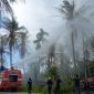 Petugas Damkar Karimun menyemprotkan cairan Insektisida untuk membasmi hama ulat api di Pelambung, Desa Pongkar. (Foto: ricky/kepriheadline.id)
