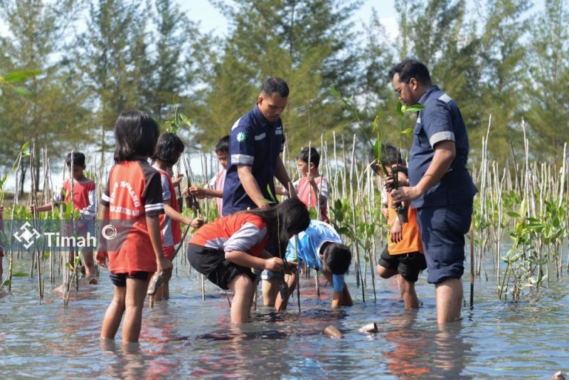Kegiatan penanaman bibit mangrove dilakukam PT Timah dalam rangka Peringati Hari Manggrove sedunia. (Foto: Humas PT Timah)